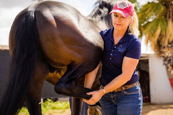 Mandi Holland DVM, Certified in Veterinary Acupuncture